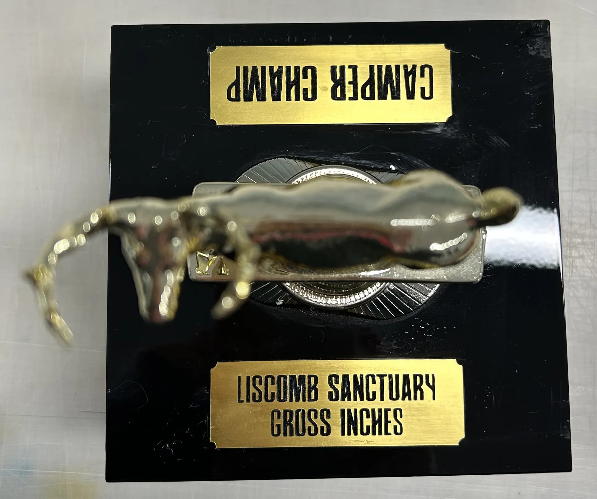 Trophy & Plaque Engraving - Awards